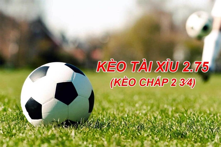 Hướng Dẫn Chơi Kèo 2.75 Hiệu Quả Cho Người Mới Bắt Đầu