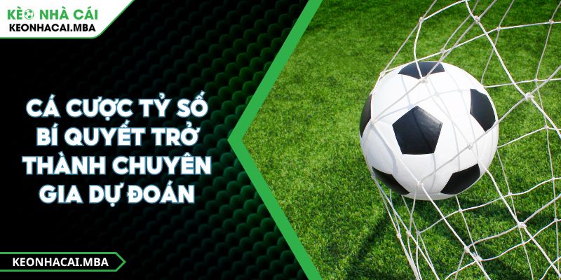 Cá Cược Tỷ Số Bí Quyết Trở Thành Chuyên Gia Dự Đoán
