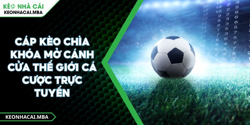 Cáp Kèo Chìa Khóa Mở Cánh Cửa Thế Giới Cá Cược Trực Tuyến
