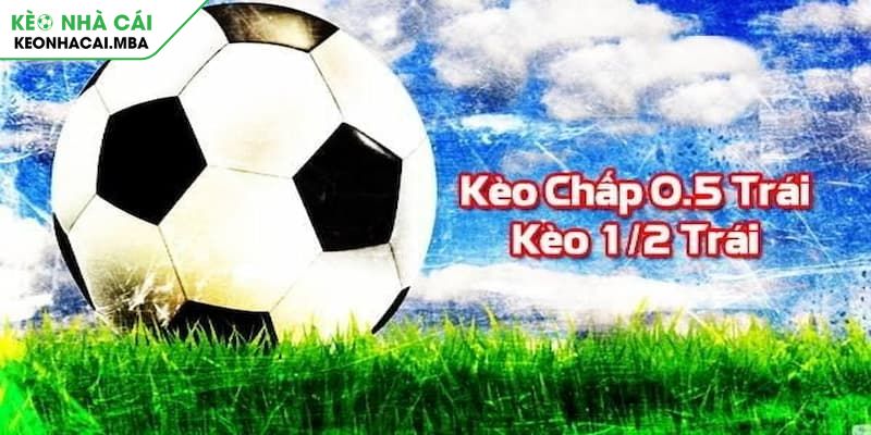 Kèo Chấp 1/2 Bí Mật Thắng Của Các Cao Thủ Cá Cược Bóng Đá 2 Khái niệm kèo chấp 1/2