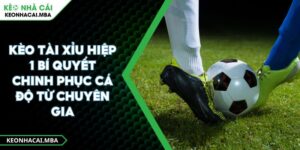 Kèo Tài Xỉu Hiệp 1 Bí Quyết Chinh Phục Cá Độ Từ Chuyên Gia