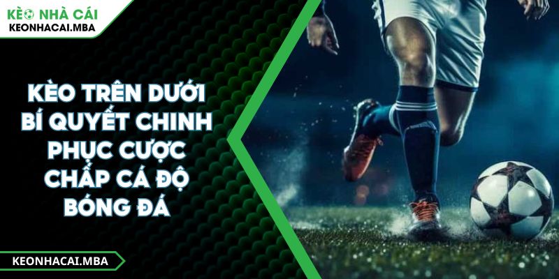 Kèo Trên Dưới Bí Quyết Chinh Phục Cược Chấp Cá Độ Bóng Đá