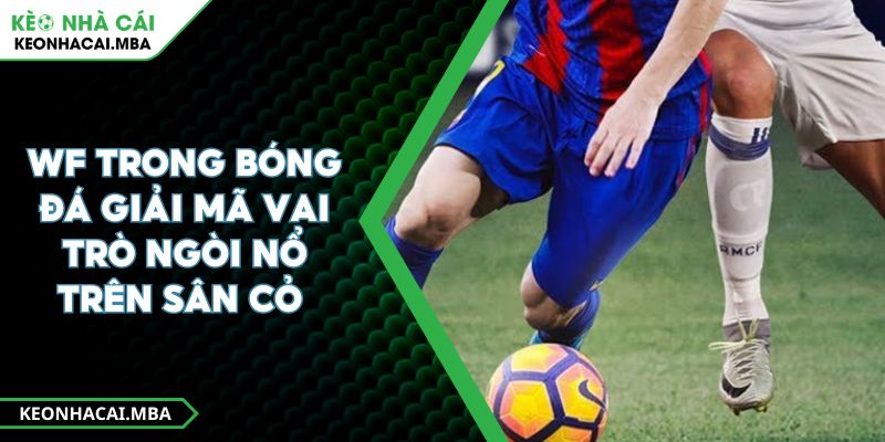 WF Trong Bóng Đá Giải Mã Vai Trò Ngòi Nổ Trên Sân Cỏ