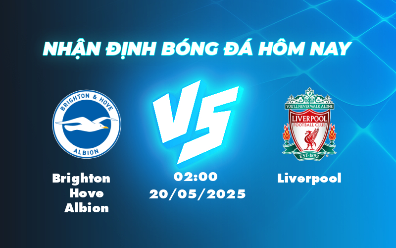 brighton hove albion liverpool 20 05 ngoai hang anh