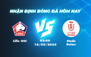 lille osc stade reims 18 05 ligue 1