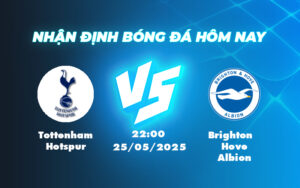 tottenham hotspur brighton hove albion 25 05 ngoai hang anh