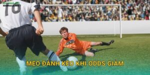 Mẹo Đánh Kèo Khi Odds Giảm – Tận Dụng Tín Hiệu Từ Thị Trường Kèo Nhà Cái MBA