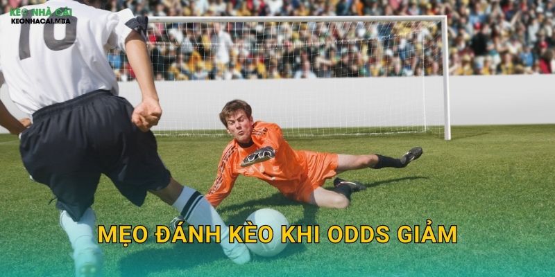 Mẹo Đánh Kèo Khi Odds Giảm – Tận Dụng Tín Hiệu Từ Thị Trường Kèo Nhà Cái MBA