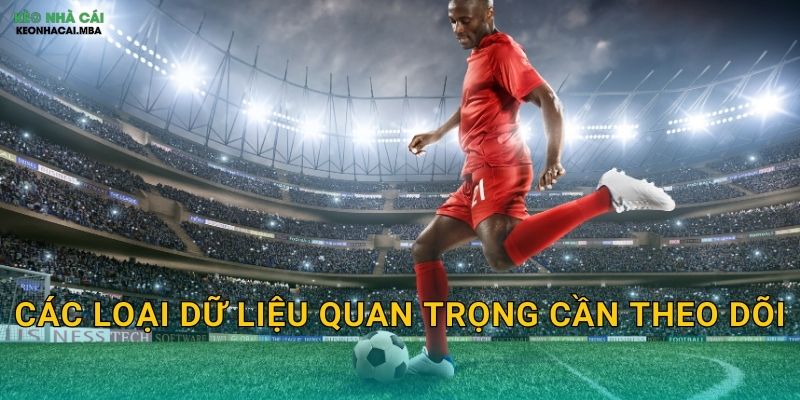Các loại dữ liệu quan trọng cần theo dõi