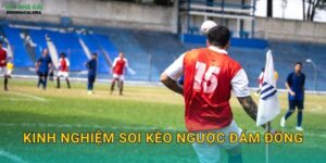 Kinh Nghiệm Soi Kèo Ngược Đám Đông – Dám Khác Biệt Để Thành Công Tại Kèo Nhà Cái MBA