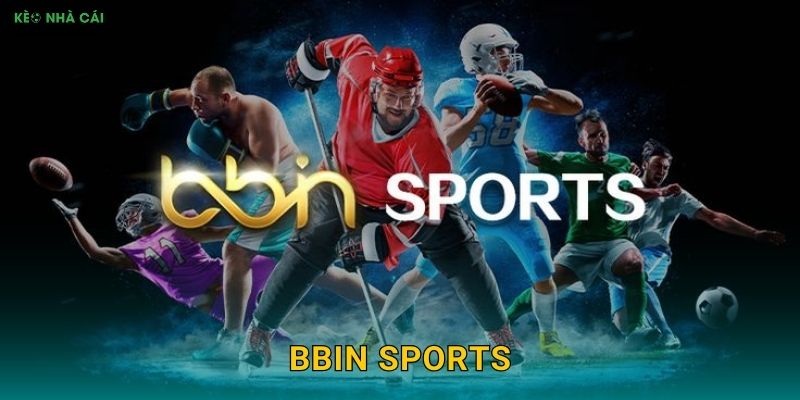 BBIN Sports – Chuyên Gia Thể Thao Trong Mắt Keo nha cai MBA
