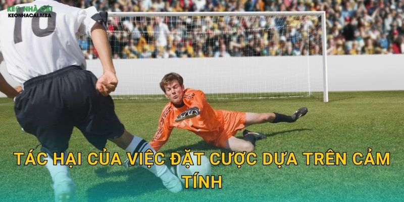 Tác hại của việc đặt cược dựa trên cảm tính