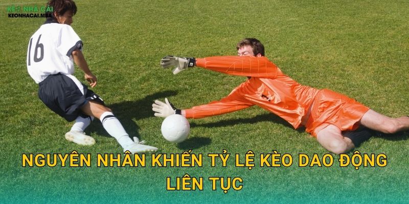Nguyên nhân khiến tỷ lệ kèo dao động liên tục