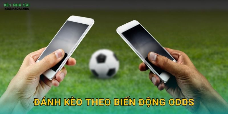 Đánh Kèo Theo Biến Động Odds – Kỹ Thuật Chuyên Nghiệp Tại Kèo Nhà Cái
