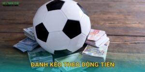 Đánh Kèo Theo Dòng Tiền – Bí Quyết Đi Theo Số Đông Thông Minh Tại Keo Nha Cai