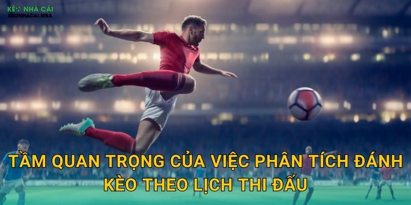 Tầm quan trọng của việc phân tích đánh kèo theo lịch thi đấu