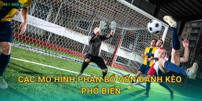Các mô hình phân bổ vốn đánh kèo phổ biến