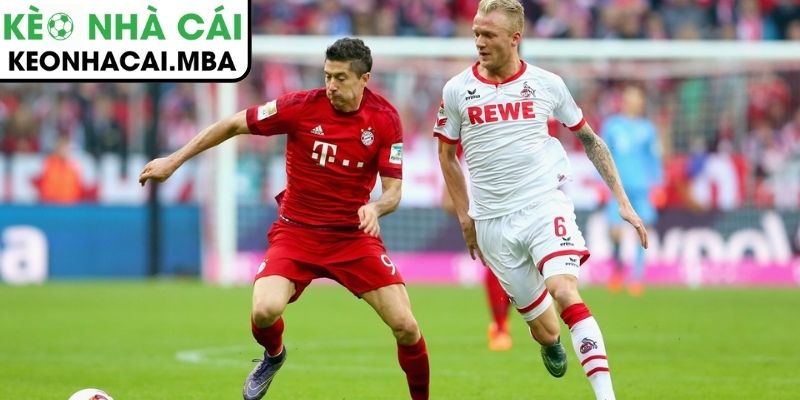 Thông tin lực lượng Köln vs Bayern Munich (02:30 15/01, Bundesliga)