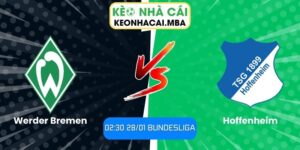 Soi kèo Werder Bremen vs Hoffenheim